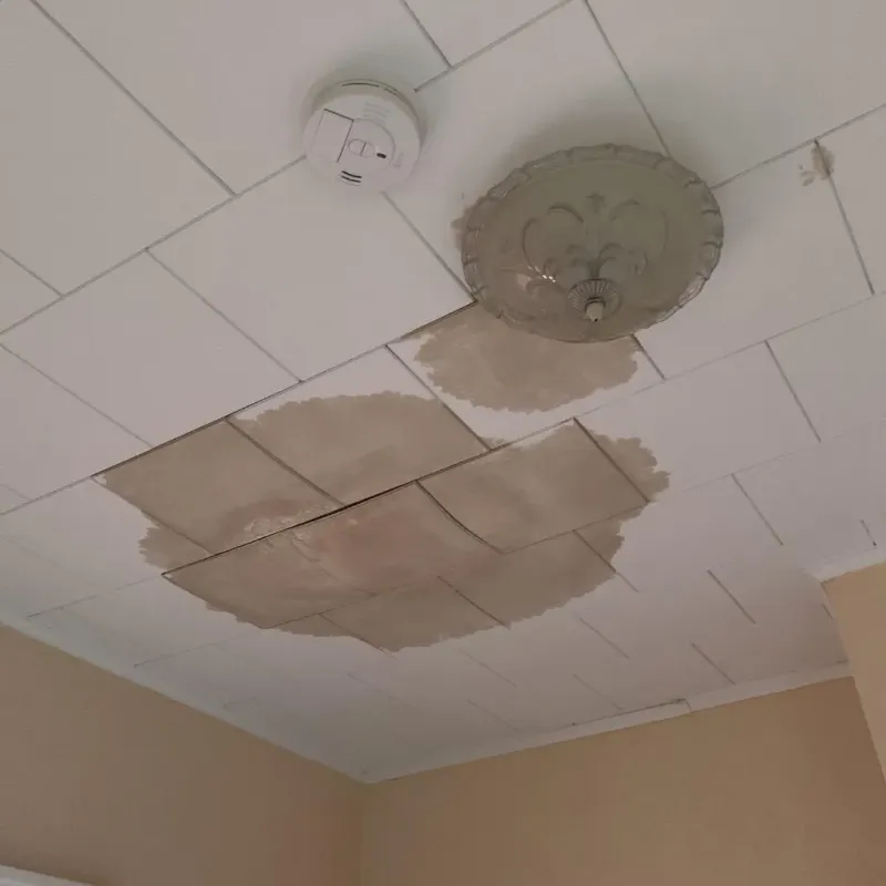 Ceiling Water Damage Repair in Orange County, VT