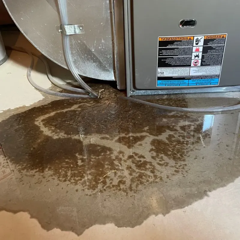 Pipe Burst and Leak Restoration in Orange County, VT