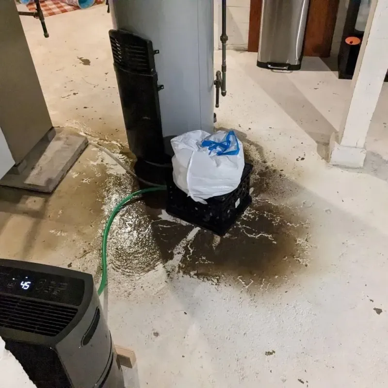 Sewage Backup Cleanup Service in Orange County, VT